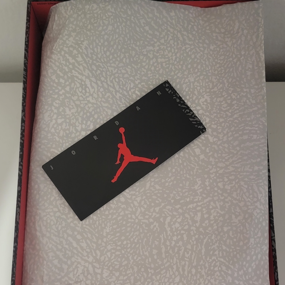 Air Jordan 3 "Fire Red"